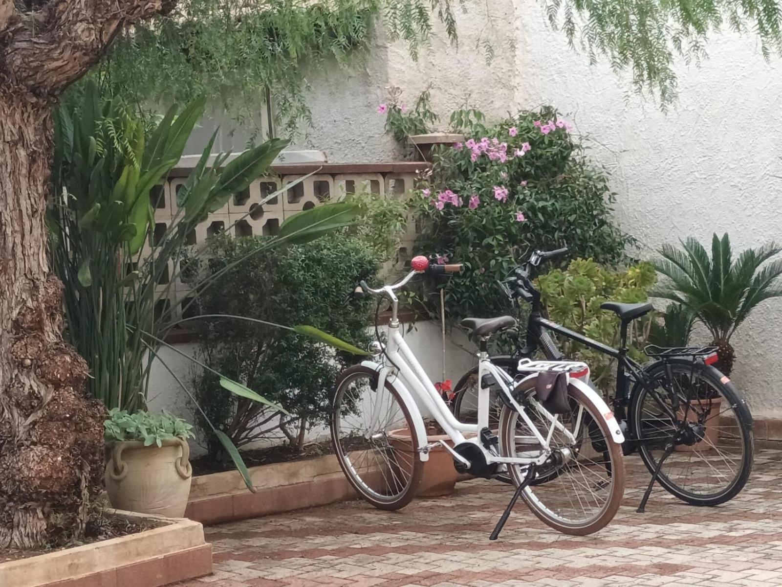 La Mimosa Case Vacanze Marsala Eksteriør bilde
