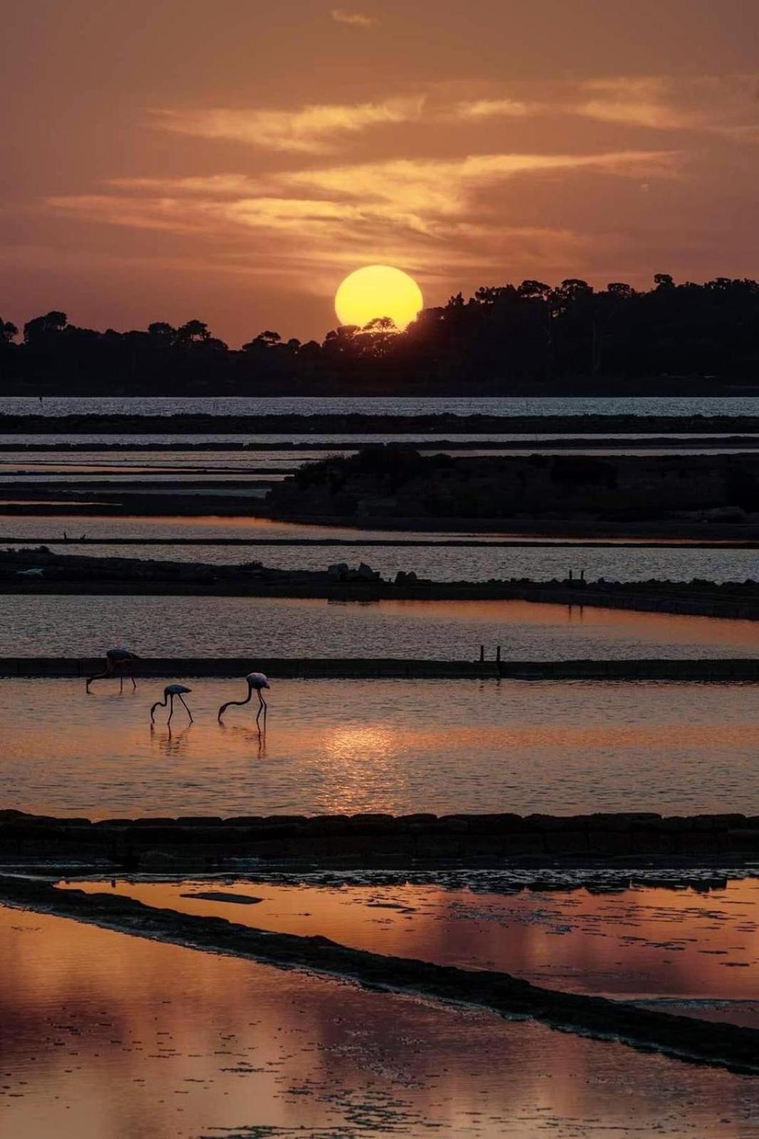 La Mimosa Case Vacanze Marsala Eksteriør bilde